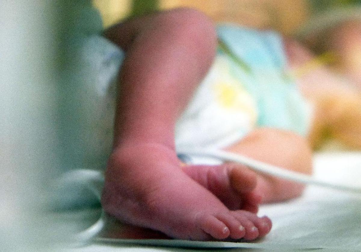 La madre de Móstoles que vendió a su bebé por 2.000 euros había perdido la custodia de sus otros seis hijos en 2022