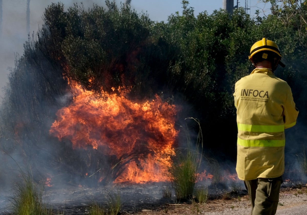 Incendio el pasado verano en Andalucía.