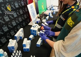 Cae una red de venta ilegal de anabolizantes, hormonas y fármacos contra la impotencia que operaba desde Málaga