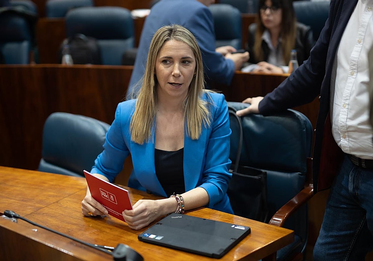 La portavoz del Grupo Socialista en la Asamblea, Mar Espinar