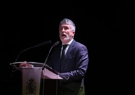 El Gobierno dio un plazo de 15 minutos a las autonomías para pedir el nivel 3 de emergencia