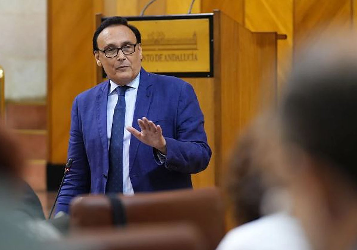 El consejero de Universidad, Investigación e Innovación José Carlos Gómez Villamandos, en el Parlamento andaluz