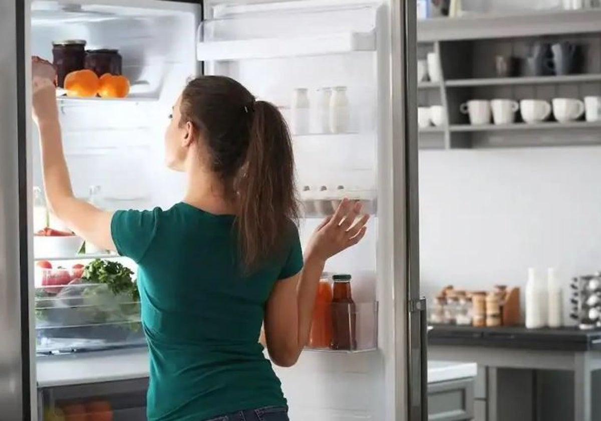 Recomendaciones sobre la conservación de alimentos refrigerados tras el apagón eléctrico