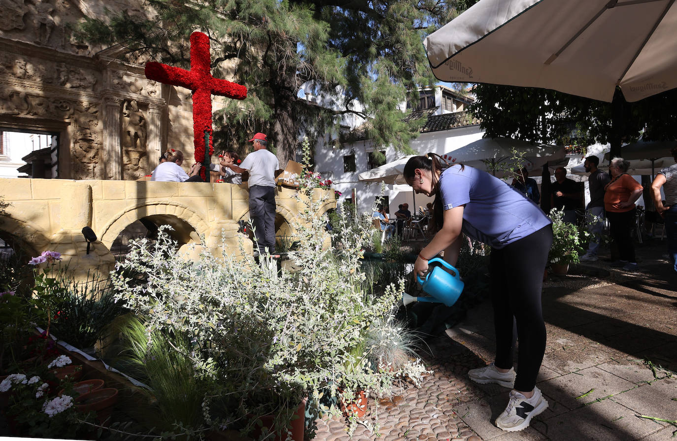 Los preparativos de las Cruces de Mayo en Córdoba, en imágenes