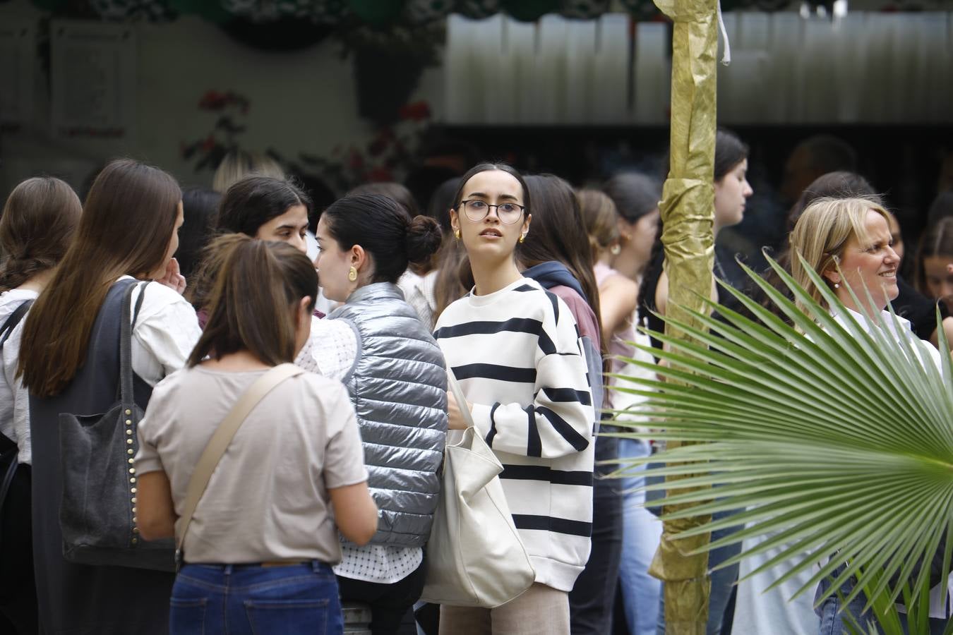 El inicio de las espectaculares Cruces de Mayo de Córdoba, en imágenes