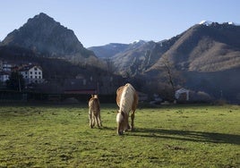El recóndito pueblo de Picos de Europa que sí que tuvo luz durante el apagón