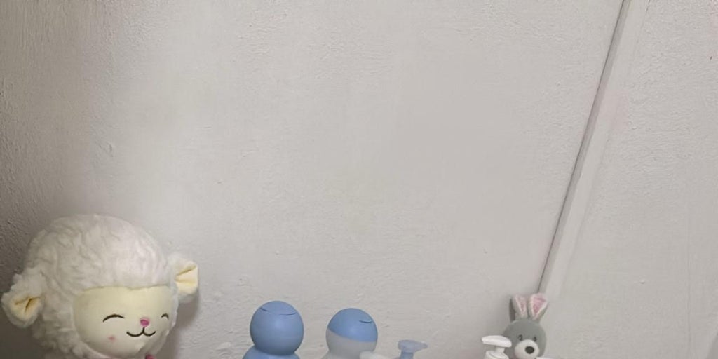 Venta de una bebé en Córdoba: «Su madre nos la entregó, no la compramos. Fue un acto de humanidad, vivía en un vertedero»