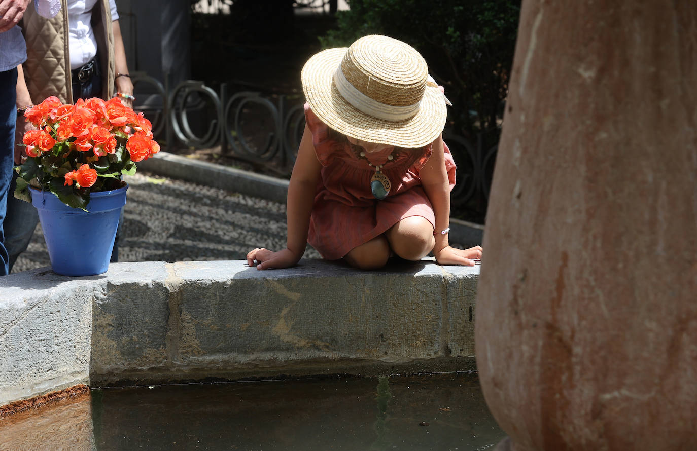 El color y la belleza de las Cruces de Mayo en Córdoba, en imágenes