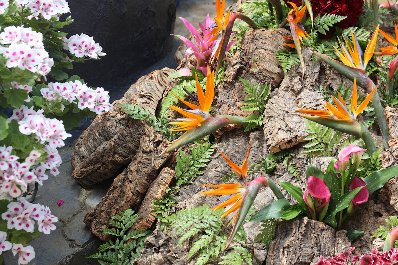 El color y la belleza de las Cruces de Mayo en Córdoba, en imágenes