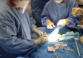 Los Colegios de Médicos andaluces alertan de la falta de especialistas y piden afinar la estrategia MIR