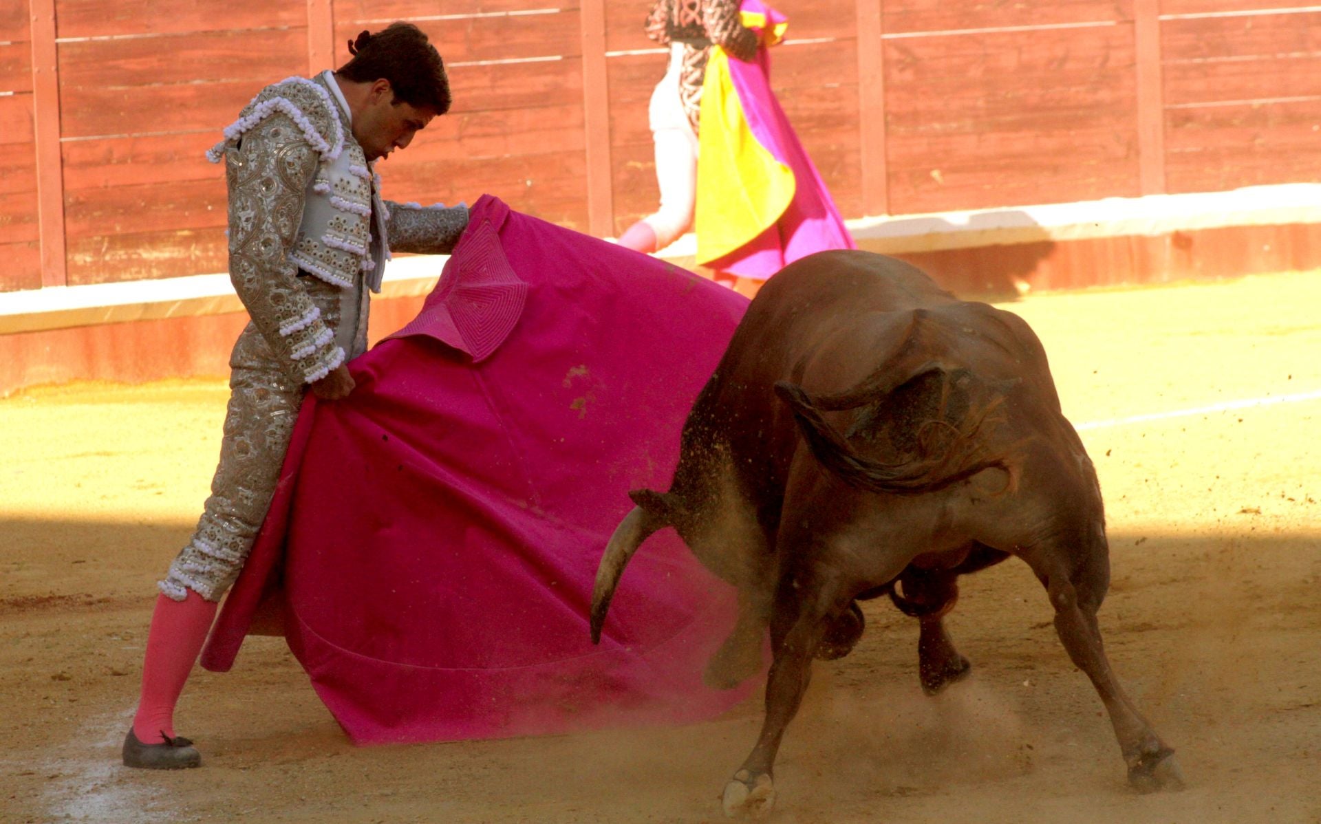 El nuevo triunfo de Román en la novillada de Lucena, en imágenes