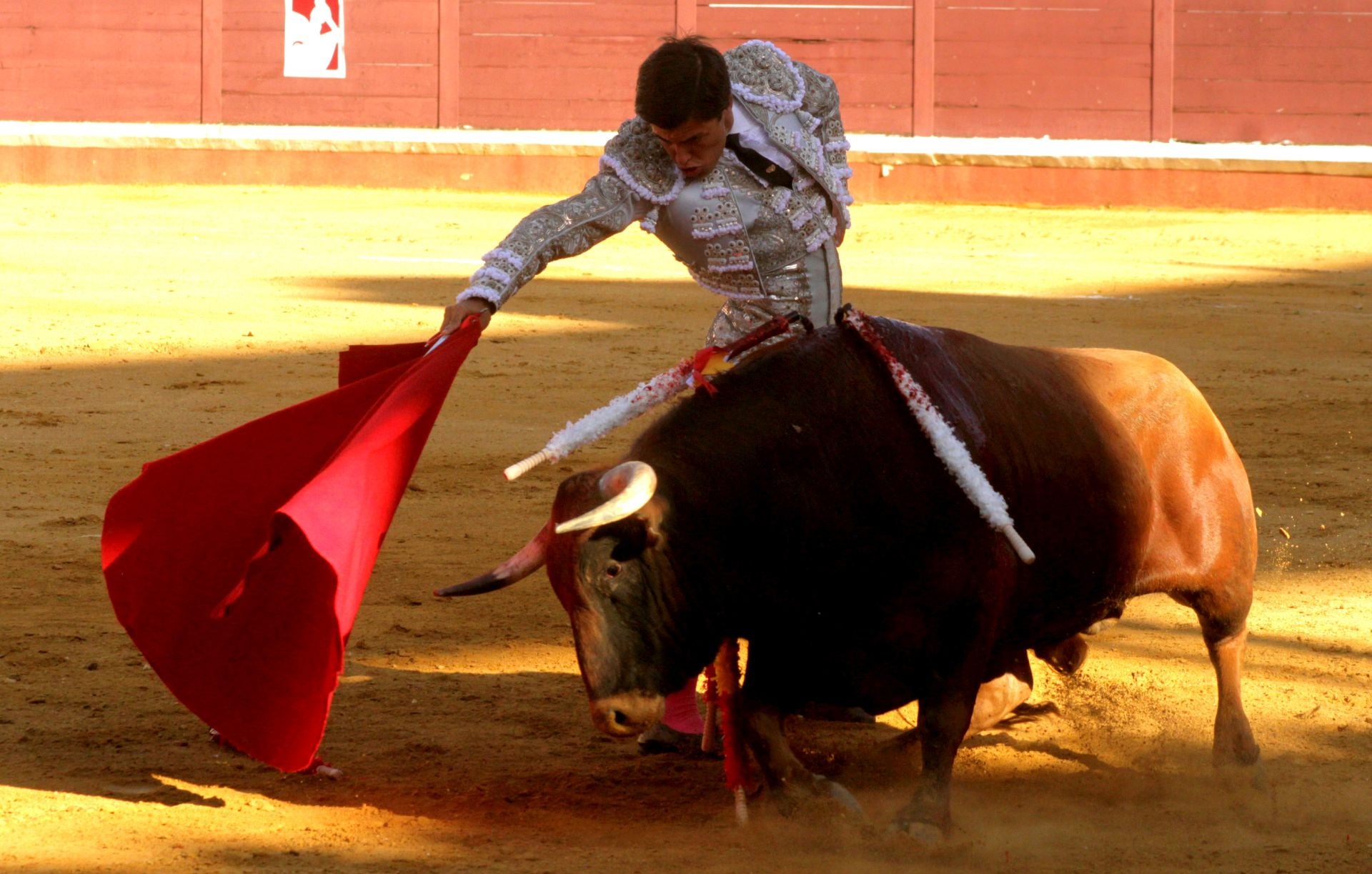 El nuevo triunfo de Román en la novillada de Lucena, en imágenes