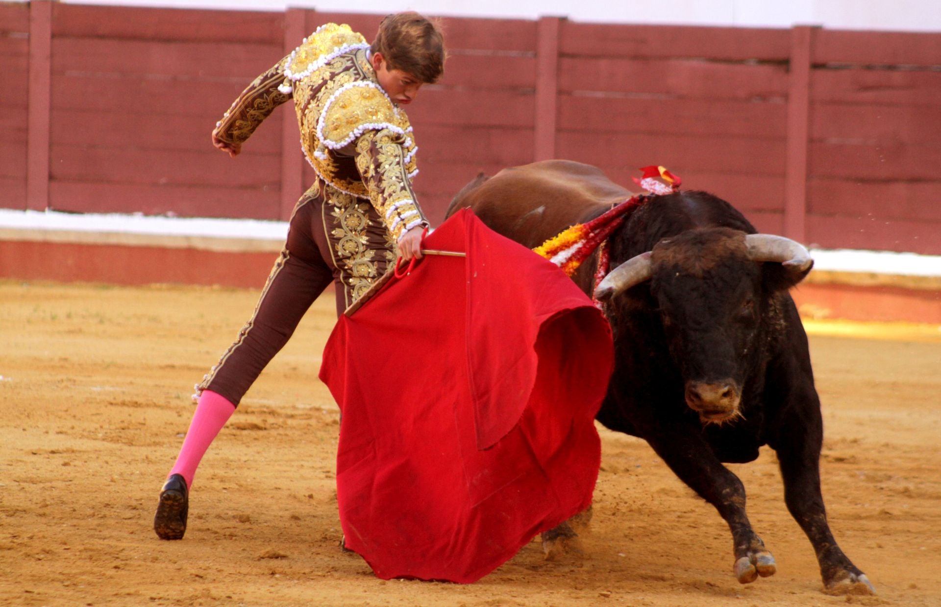 El nuevo triunfo de Román en la novillada de Lucena, en imágenes
