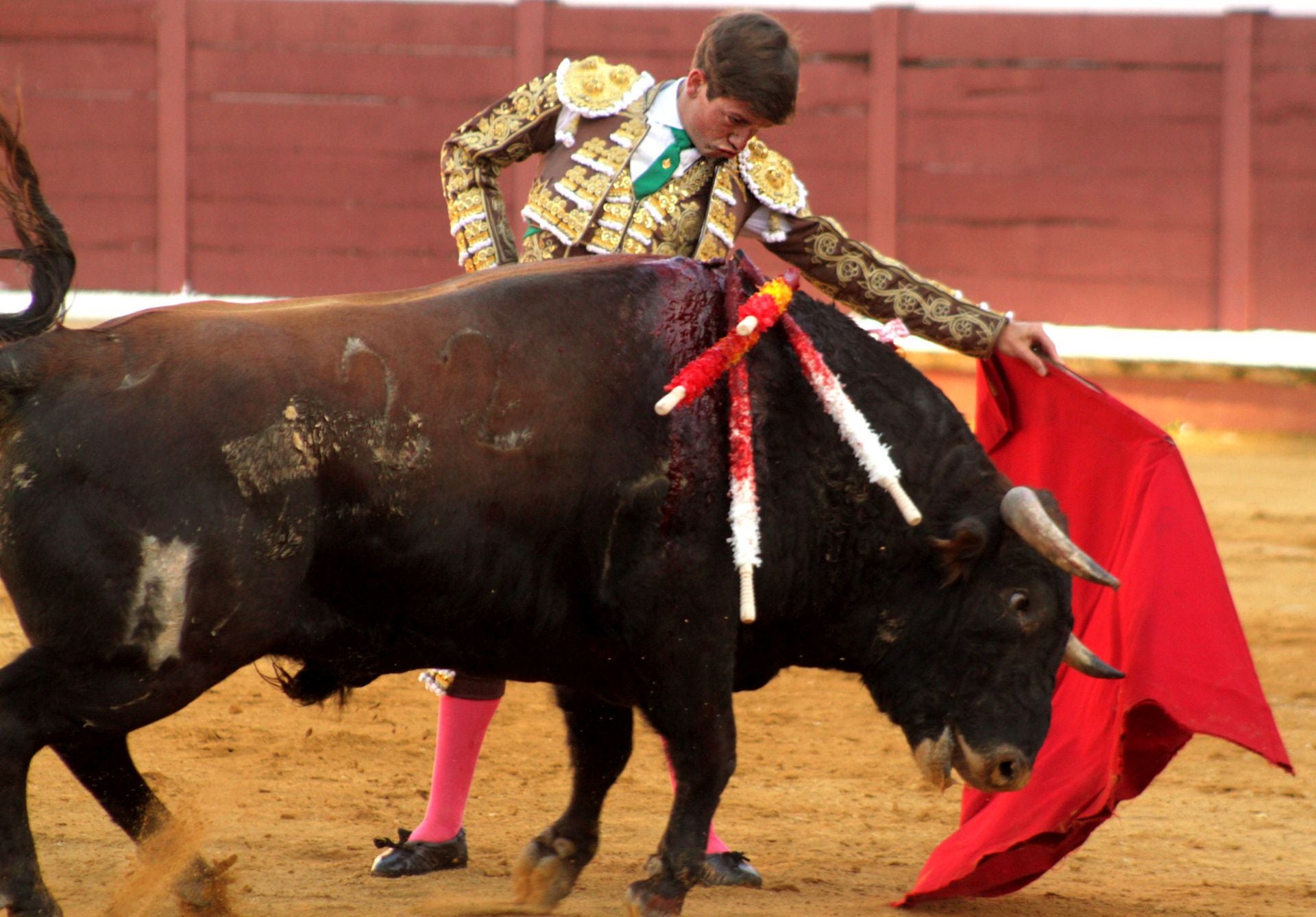 El nuevo triunfo de Román en la novillada de Lucena, en imágenes