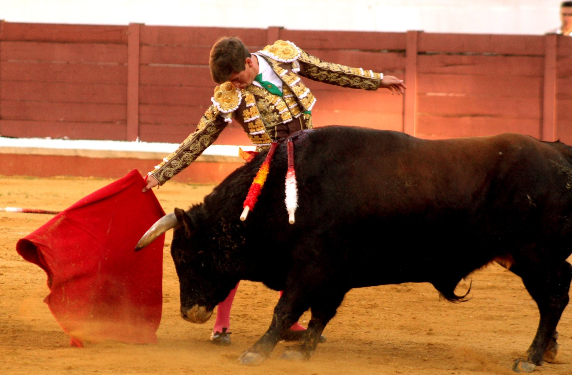 El nuevo triunfo de Román en la novillada de Lucena, en imágenes