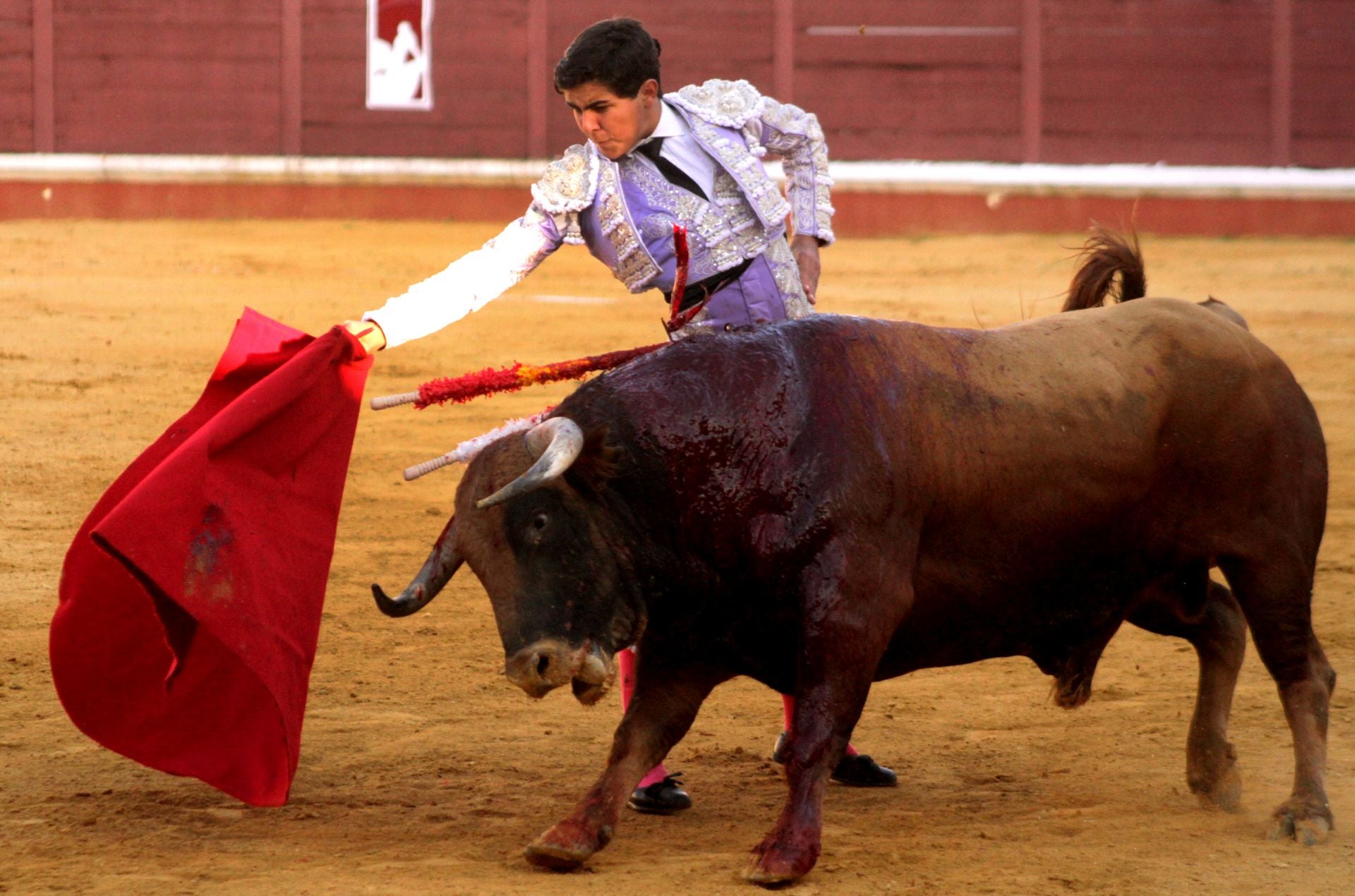 El nuevo triunfo de Román en la novillada de Lucena, en imágenes