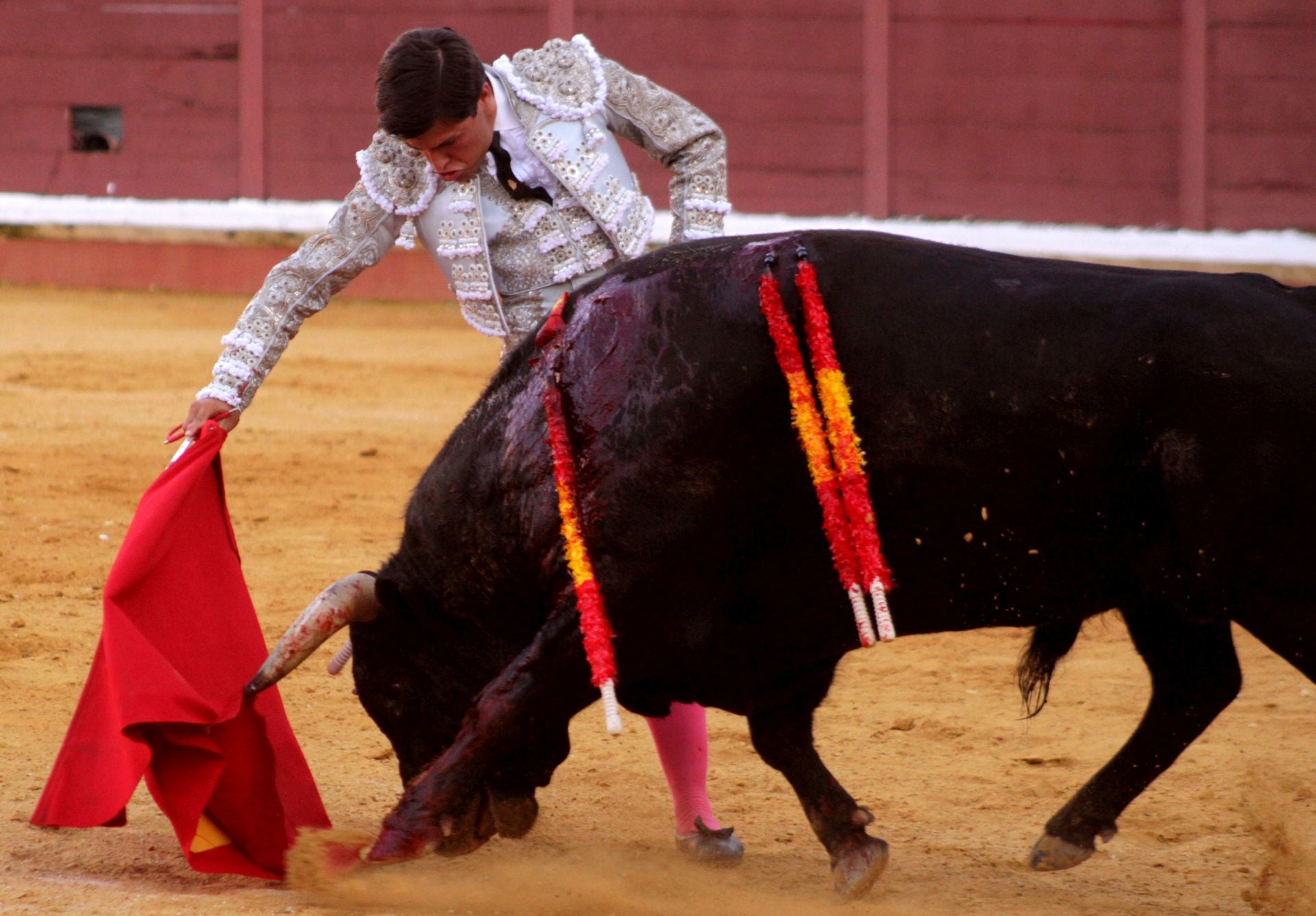 El nuevo triunfo de Román en la novillada de Lucena, en imágenes