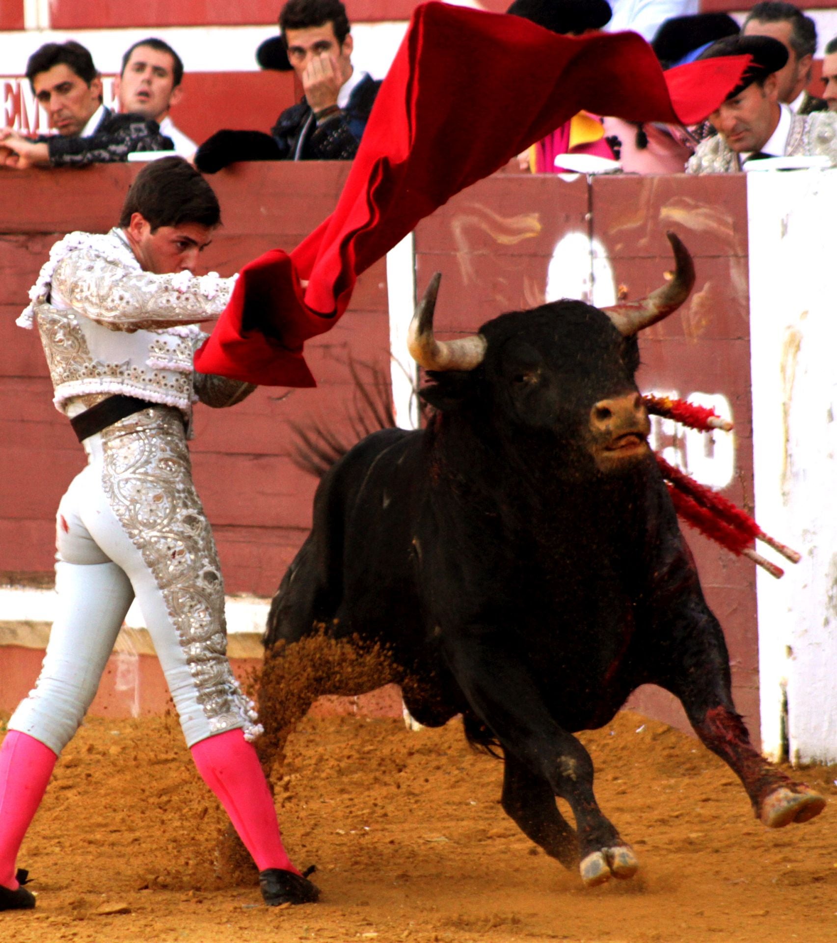 El nuevo triunfo de Román en la novillada de Lucena, en imágenes