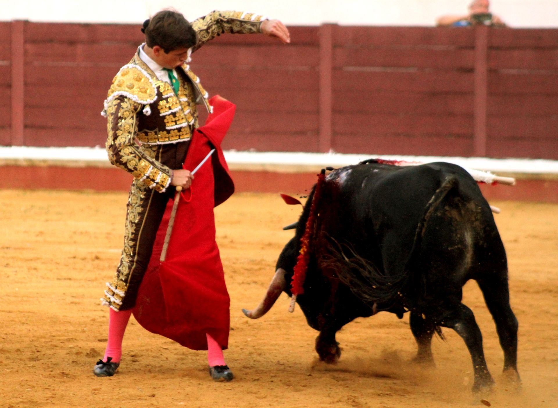 El nuevo triunfo de Román en la novillada de Lucena, en imágenes