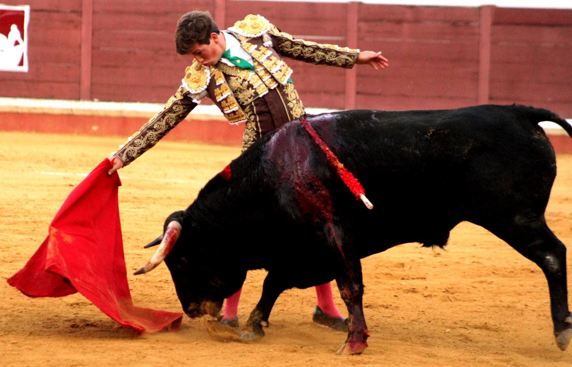 El nuevo triunfo de Román en la novillada de Lucena, en imágenes