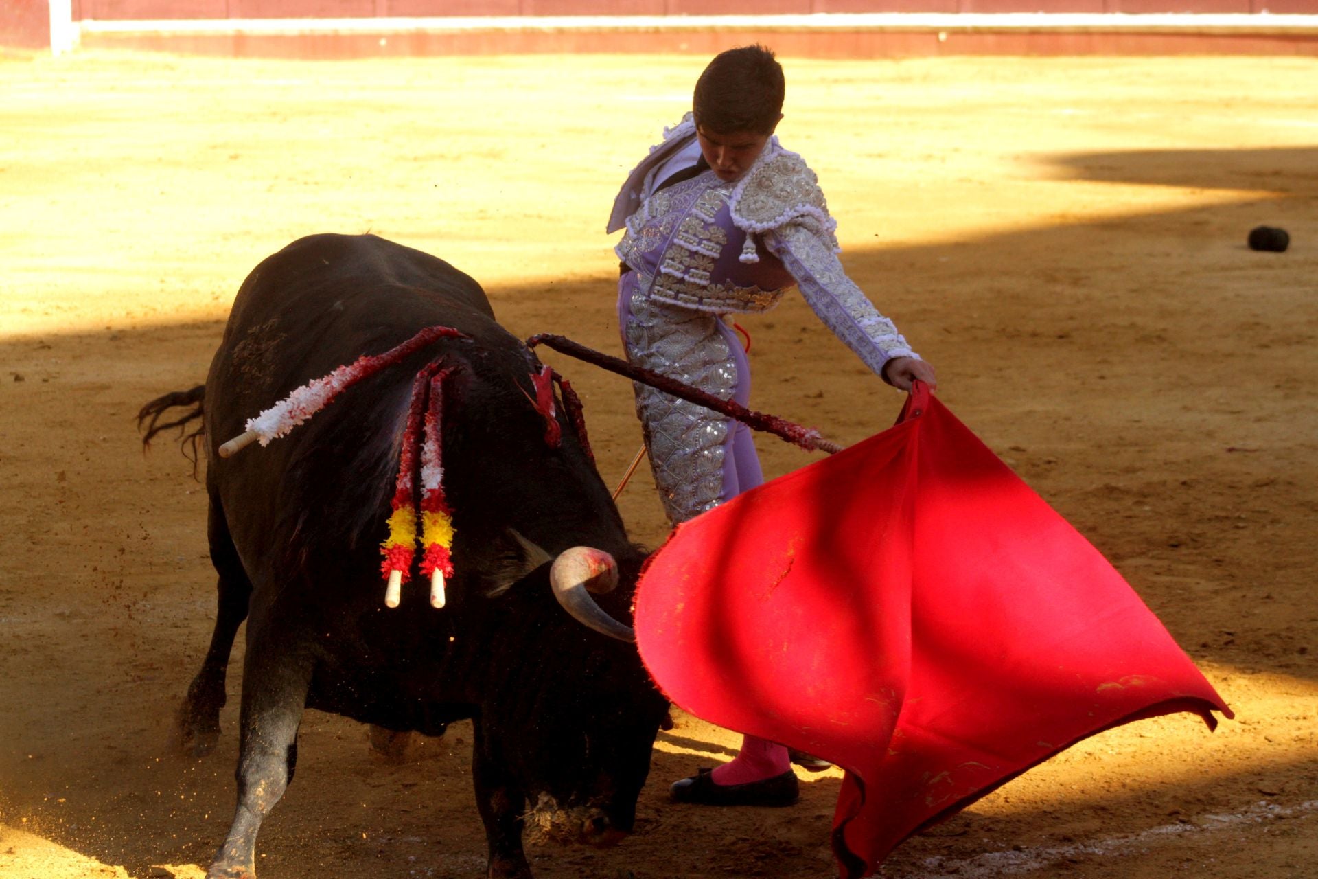 El nuevo triunfo de Román en la novillada de Lucena, en imágenes