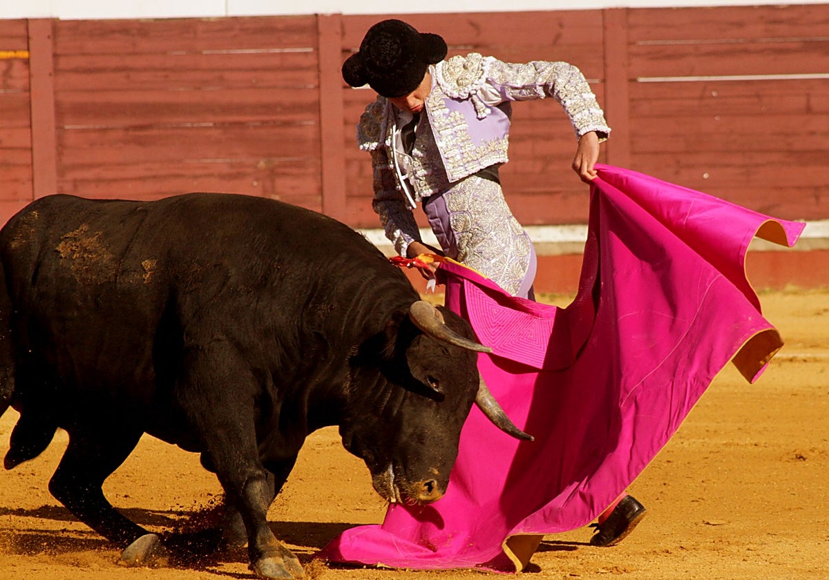 Manuel Román torea con el capote a uno de sus novillos