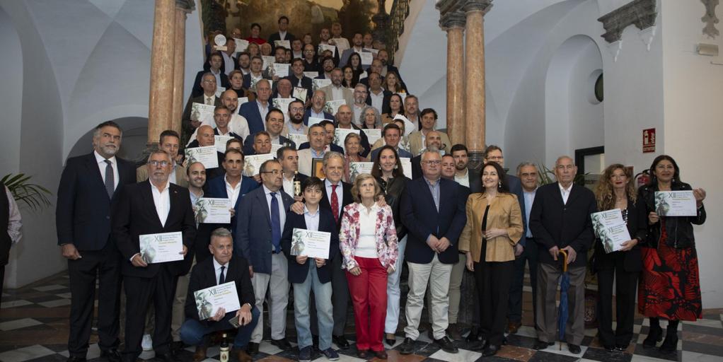 Premios AOVE Mezquita de la Diputación de Córdoba: estos son los galardonados