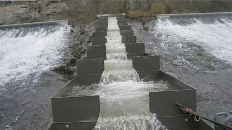 En el azud de Safont se habiltará una escala para peces