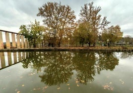 Un humedal en Safont y una isla en Galiana, nuevos atractivos del Tajo a su paso por Toledo