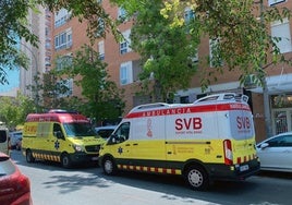 Un niño de tres años sufre heridas atacado por un perro en Orihuela