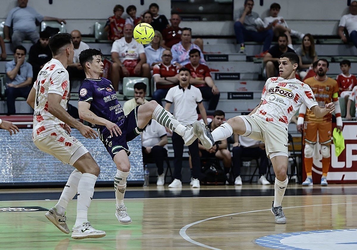 Córdoba Patrimonio y El Pozo Murcia pugnan por el balón en el partido