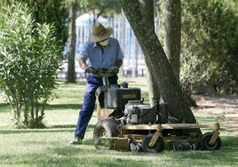 El Ayuntamiento de Córdoba adjudica por 23,1 millones de euros el macrocontrato de mantenimiento de zonas verdes