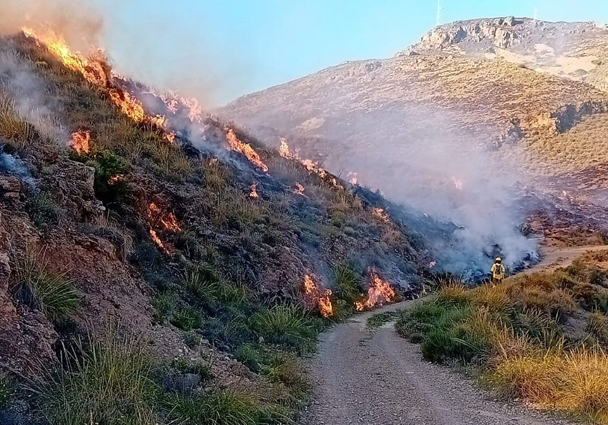 Imagen del Infoca del fuego en Huércal de Almería