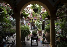 Los últimos preparativos en los Patios de Córdoba, en imágenes