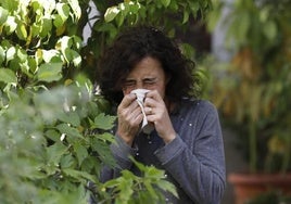 Un neumólogo de Córdoba avisa: «Esta primavera es catastrófica para los asmáticos»