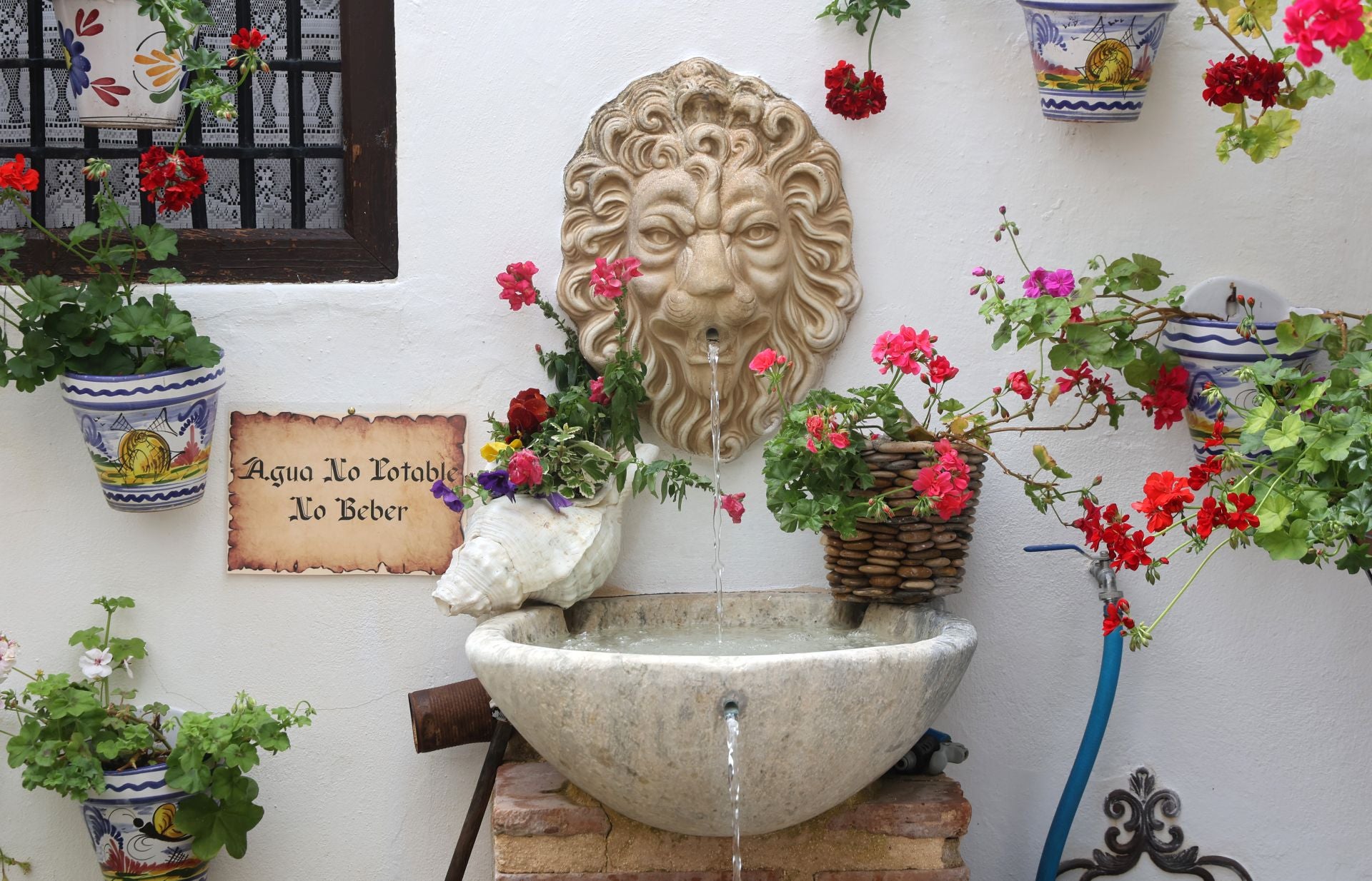 Los patios conventuales de Córdoba, en imágenes