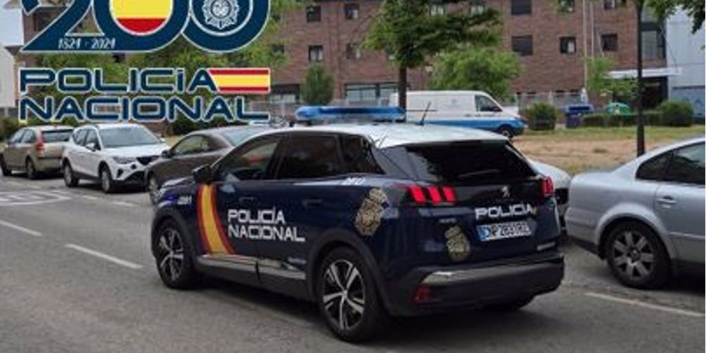Robo de película en Granada: simula ser un repartidor, inmoviliza con un táser a quien le abre y revisa la casa a su antojo