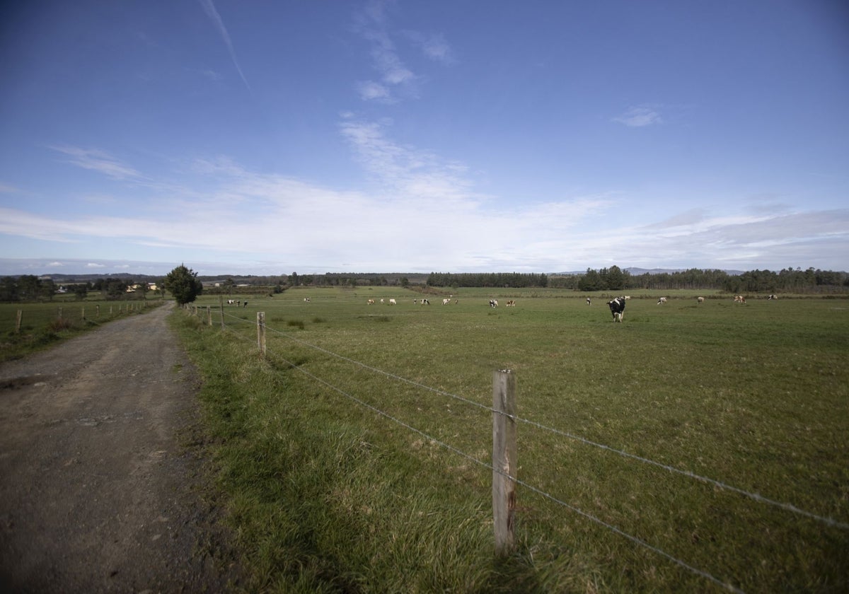 Terrenos en Palas de Rei (Lugo) donde se proyecta la construcción de la fábrica de Altri