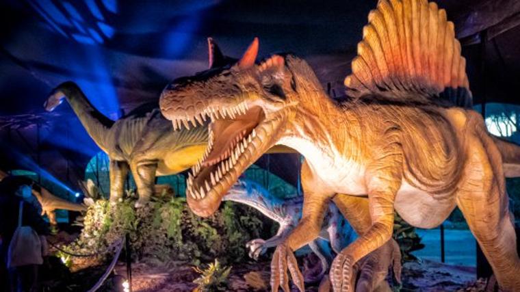 Del pregón de San Isidro a las exposiciones más sorprendentes: diez planes este fin de semana en Madrid