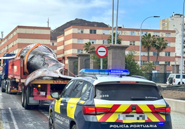 Un camión con una ballena de 27 toneladas a bordo sorprende en el centro de Las Palmas de Gran Canaria
