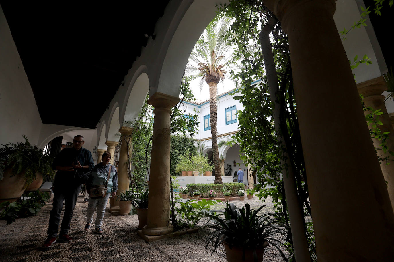Los patios del Palacio de Viana de Córdoba, en imágenes