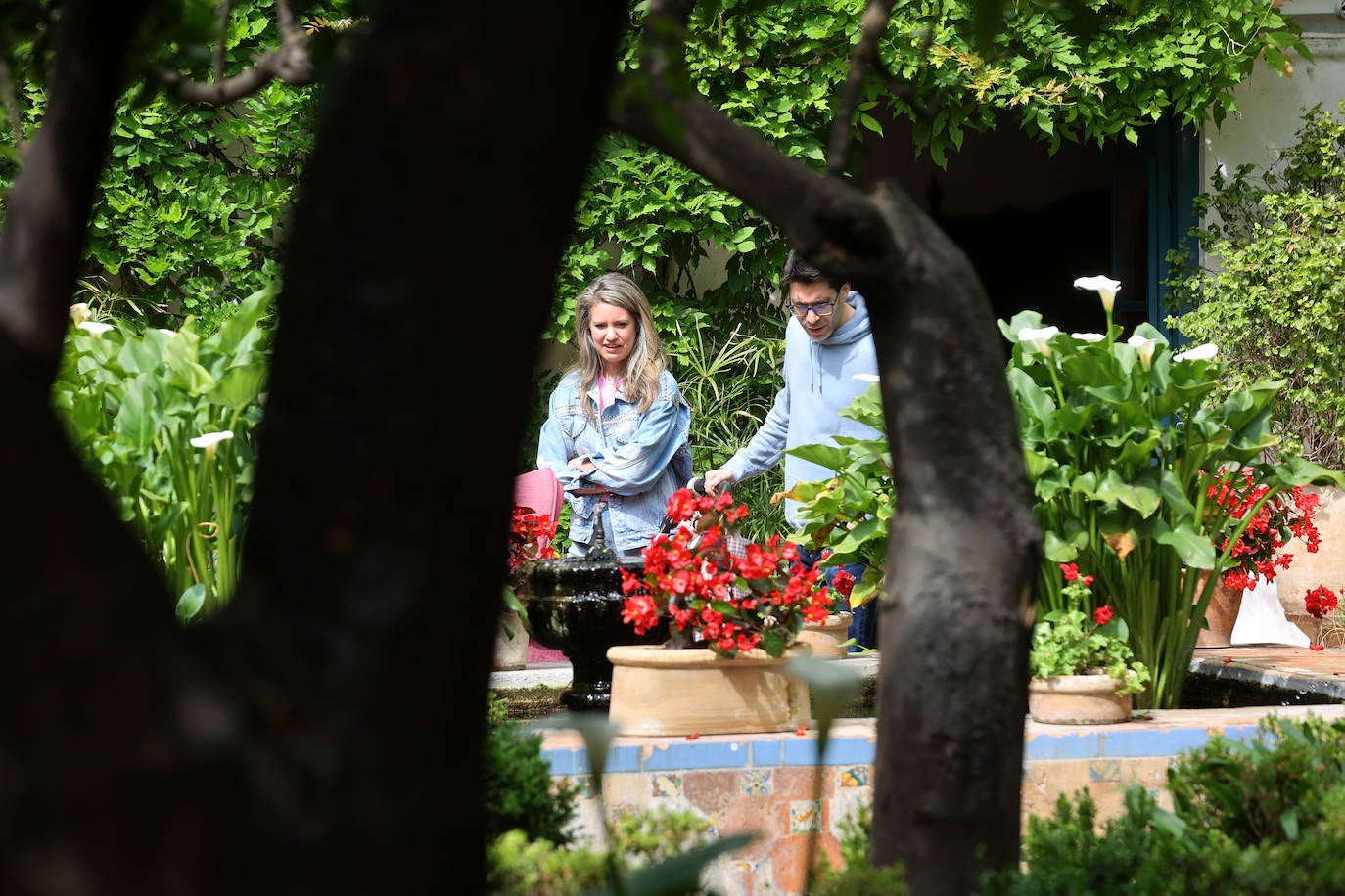 Los patios del Palacio de Viana de Córdoba, en imágenes