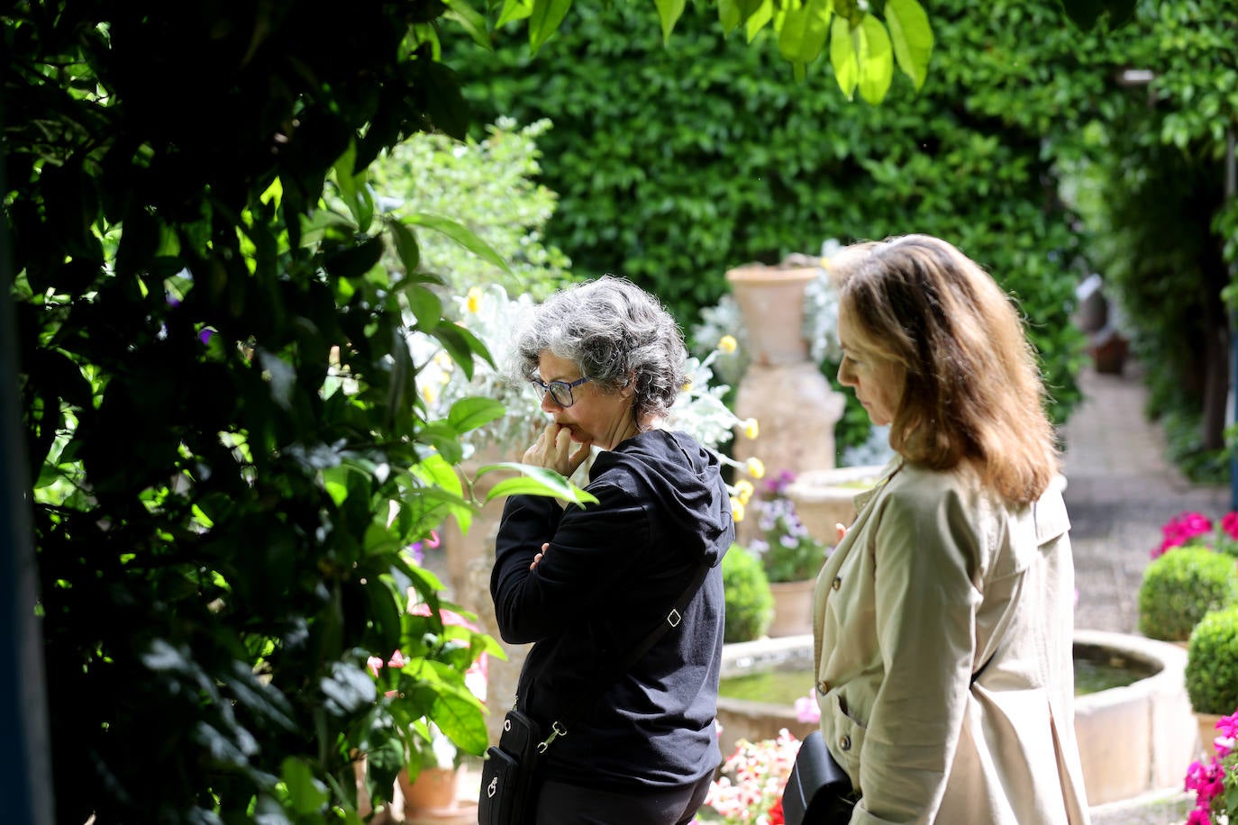 Los patios del Palacio de Viana de Córdoba, en imágenes