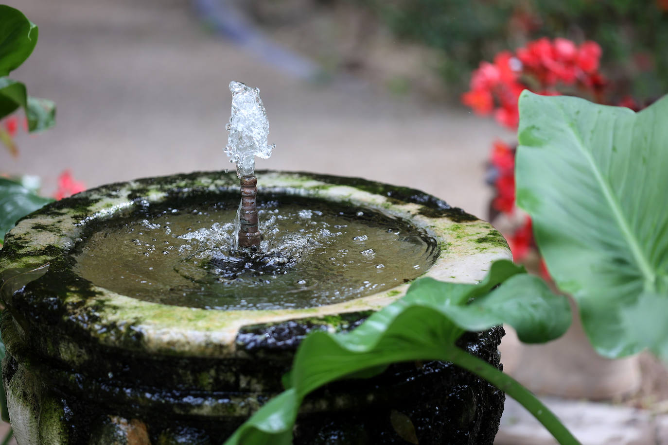 Los patios del Palacio de Viana de Córdoba, en imágenes