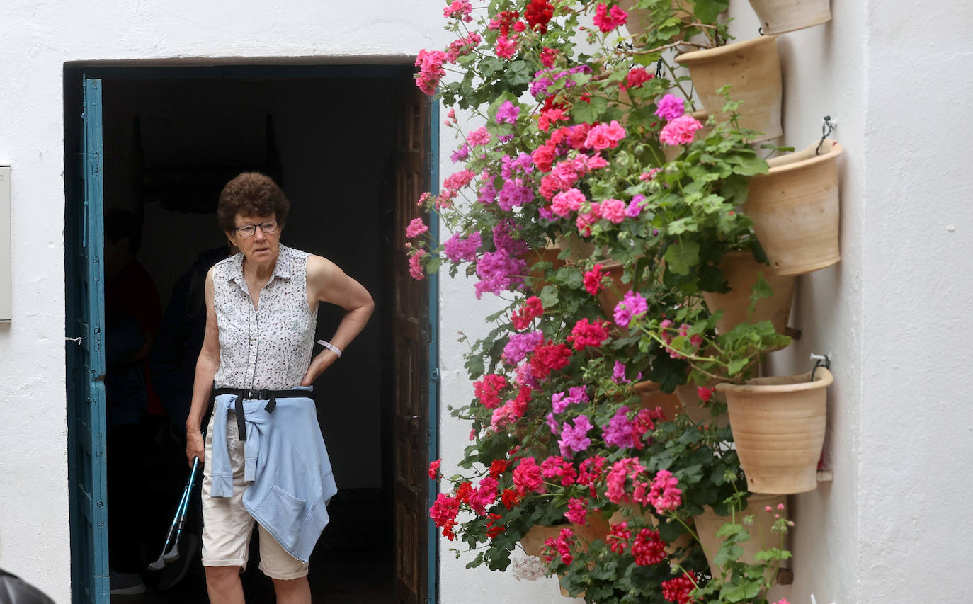 Los patios del Palacio de Viana de Córdoba, en imágenes