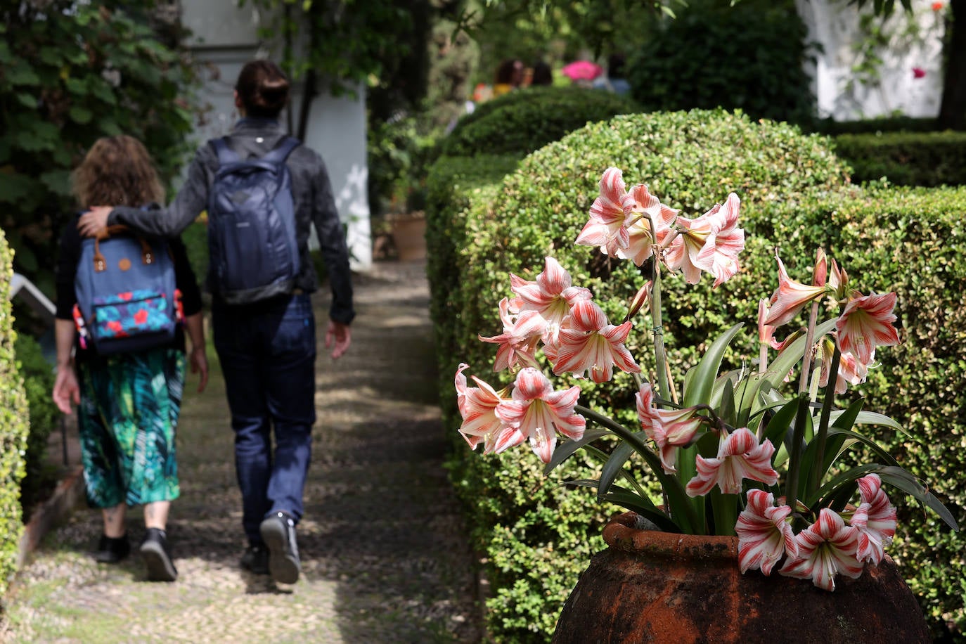 Los patios del Palacio de Viana de Córdoba, en imágenes