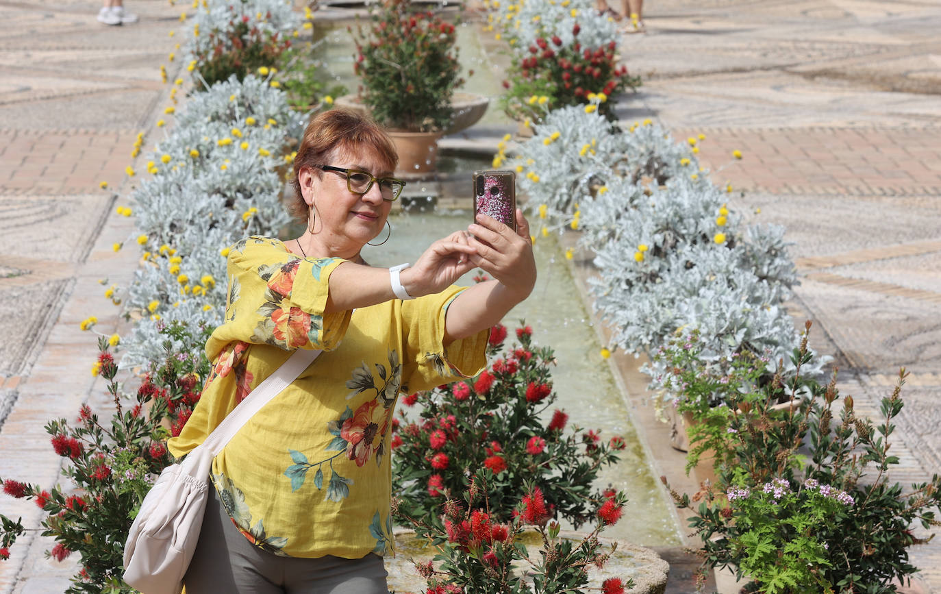 Los patios del Palacio de Viana de Córdoba, en imágenes