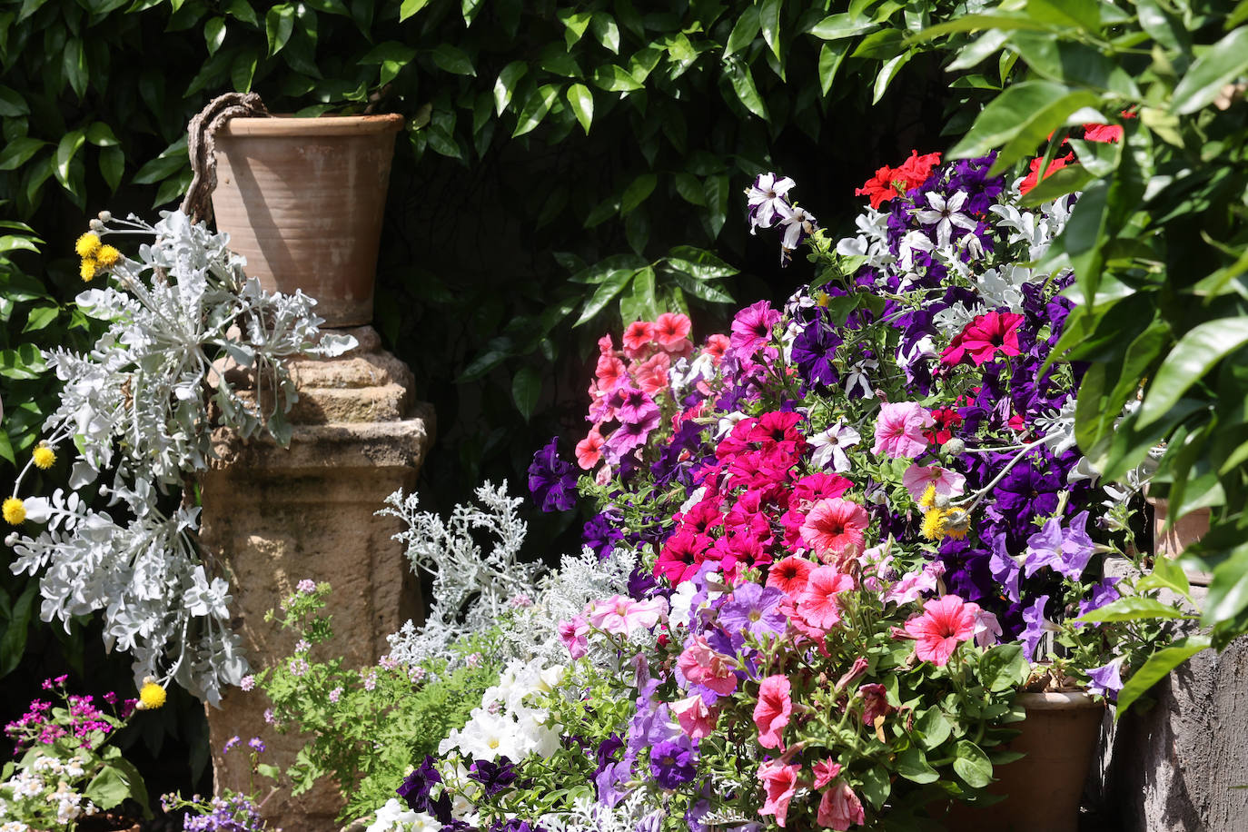 Los patios del Palacio de Viana de Córdoba, en imágenes