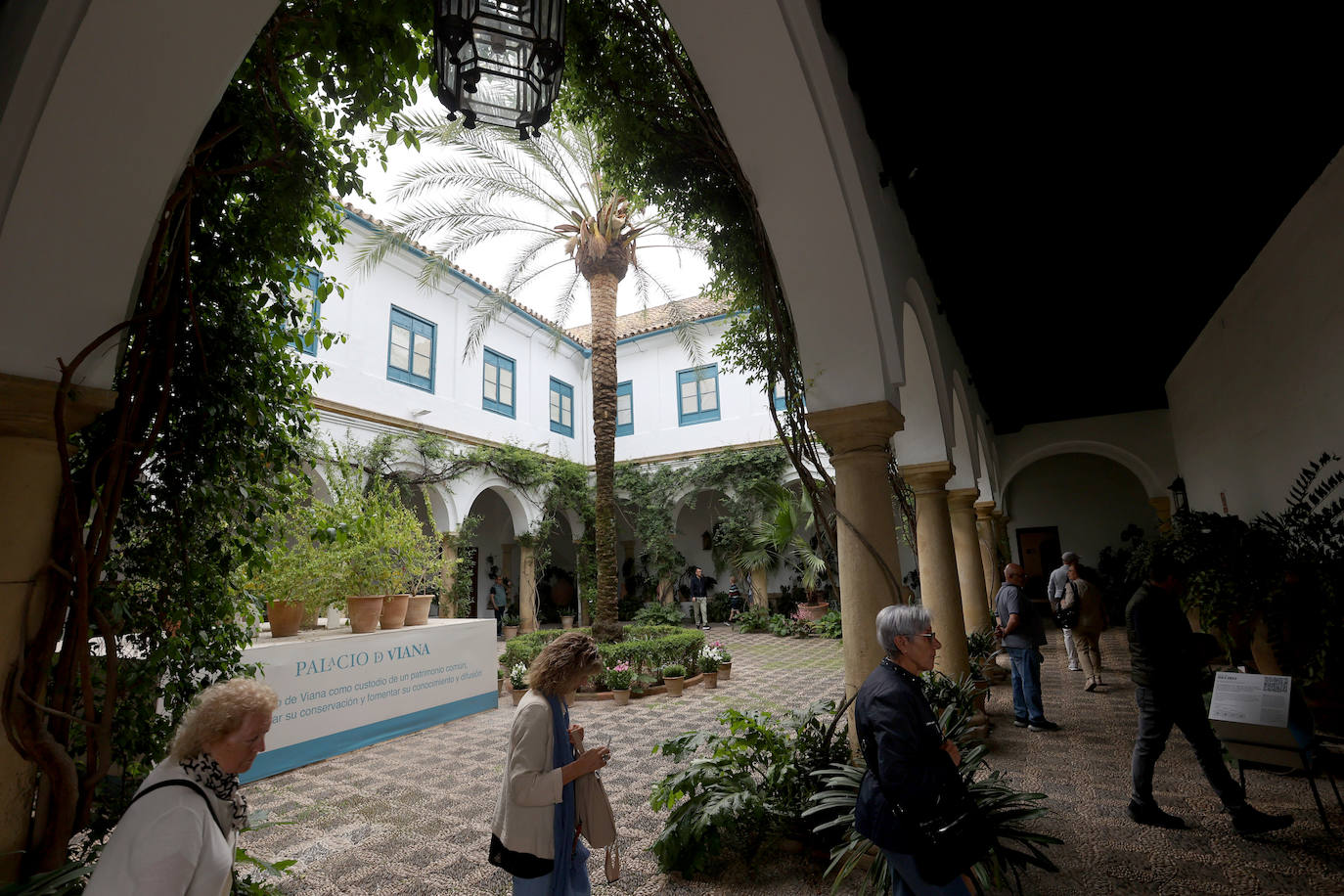 Los patios del Palacio de Viana de Córdoba, en imágenes