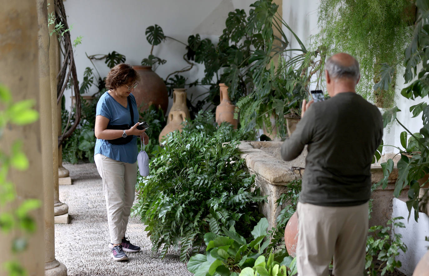 Los patios del Palacio de Viana de Córdoba, en imágenes